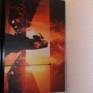 ariana grande canvus